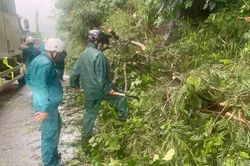 Giao thông qua đèo Bảo Lộc được thông tuyến trở lại