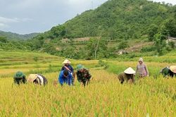 Đoàn Kinh tế - Quốc phòng 5 (Quân khu 4): Bám bản, bám dân xây thế vững biên cương