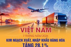Tổng kim ngạch xuất, nhập khẩu h&agrave;ng h&oacute;a của Việt Nam tăng 28,1%