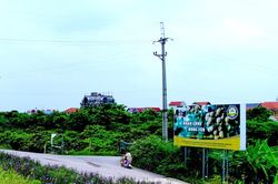 Trải nghiệm mùa nhãn lồng Hưng Yên