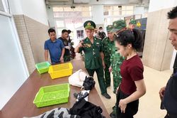 Khởi tố vụ người phụ nữ mang súng quân dụng từ Campuchia về Việt Nam