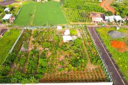 Vì sao chưa thu hồi được hơn 15 tỉ đồng tiền cọc đấu giá đất tại Gia Lai?