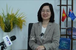 Thương mại Việt Nam - Australia hướng tới những động lực tăng trưởng mới