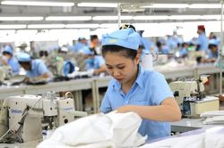 Tuyên Quang: Doanh nghiệp tăng, khu vực cá thể vẫn chiếm chủ đạo