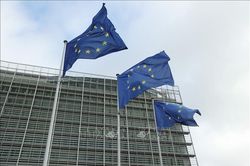 Iceland trước cuộc trưng cầu &yacute; d&acirc;n về nối lại đ&agrave;m ph&aacute;n gia nhập EU