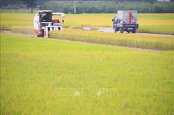 Hàn Quốc trước bài toán khó về nâng tỷ lệ tự cung lương thực