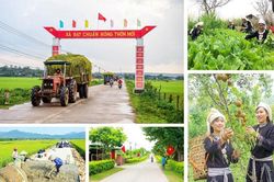 Đề xuất hợp nhất 4 Chương trình mục tiêu quốc gia: Nâng cao hiệu quả nguồn lực
