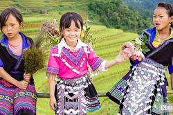 Sẽ trình Quốc hội phương án thống nhất 4 chương trình mục tiêu quốc gia