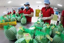 Động lực mới cho hợp t&aacute;c thương mại Việt Nam - Australia
