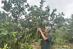 Khơi thông dòng vốn cho phát triển kinh tế địa phươngKhơi thông dòng vốn cho phát triển kinh tế địa phương