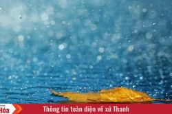 Khẽ khàng nhịp bước mùa thu