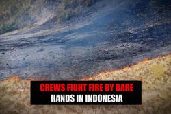 Indonesia đối mặt nguy cơ ch&aacute;y rừng trong m&ugrave;a kh&ocirc; khắc nghiệt