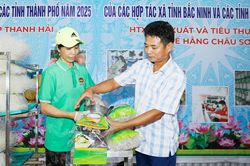 Khởi sắc làng nghề Châu Sơn