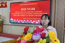 Cấp ủy chi bộ thôn đề nghị được tập huấn chuyên môn về kiểm tra, giám sát
