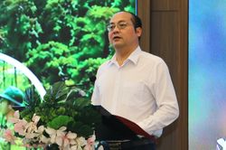 Mở hướng ph&aacute;t triển thị trường t&iacute;n chỉ c&aacute;c-bon rừng cho Điện Bi&ecirc;n