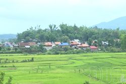 Một miền văn hóa