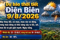 Bản tin Dự báo thời tiết ngày 9/8/2026