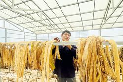 Nâng tầm trái cây Việt