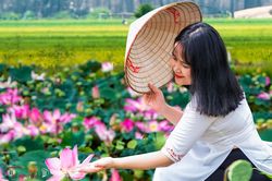Về miền đá lớn