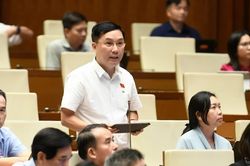 Đề nghị hoàn thiện cơ chế xử lý vi phạm đất đai, tránh khoảng trống pháp lý
