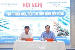 Tìm giải pháp phát triển nuôi và tiêu thụ tôm hùm bền vững