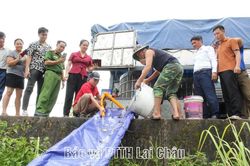 Thí điểm nuôi cá mè hoa thương phẩm tại hồ Pa Khoá