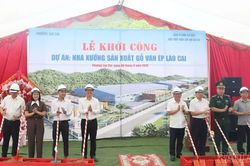 Khởi công Dự án Nhà xưởng sản xuất gỗ ván ép Lào Cai