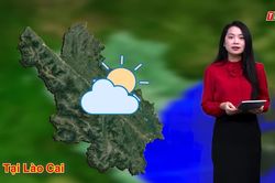 Dự báo thời tiết đêm 8 và ngày 9/8