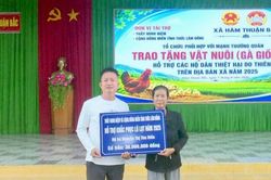 Hỗ trợ 13.000 gà con giống cho người dân Hàm Thuận Bắc