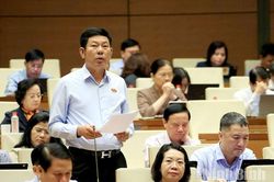 Đại biểu Quốc hội tỉnh Ninh B&igrave;nh g&oacute;p &yacute; ho&agrave;n thiện quy định về quốc ph&ograve;ng v&agrave; ph&ograve;ng, chống phổ biến vũ kh&iacute; hủy diệt h&agrave;ng loạt