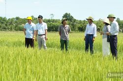 N&acirc;ng cao hiệu quả hoạt động chi bộ trước y&ecirc;u cầu mới