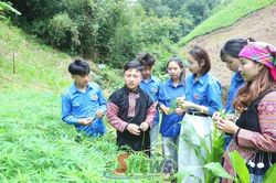 Tuổi trẻ khát vọng khởi nghiệp trên quê hươngTuổi trẻ khát vọng khởi nghiệp trên quê hương