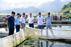 Trao đổi kinh nghiệm vận hành chính quyền địa phương 2 cấpTrao đổi kinh nghiệm vận hành chính quyền địa phương 2 cấp