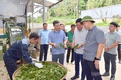 Chủ tịch HĐND tỉnh Nguyễn Văn Sơn khảo s&aacute;t c&aacute;c m&ocirc; h&igrave;nh ch&egrave; tại x&atilde; Hồng Th&aacute;iChủ tịch HĐND tỉnh Nguyễn Văn Sơn khảo s&aacute;t c&aacute;c m&ocirc; h&igrave;nh ch&egrave; tại x&atilde; Hồng Th&aacute;i