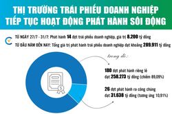 Infographics: 7 tháng, doanh nghiệp phát hành 289.911 tỷ đồng trái phiếu