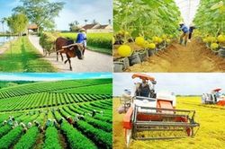 Chính phủ thông qua hồ sơ trình Quốc hội về thống nhất 4 Chương trình mục tiêu quốc gia