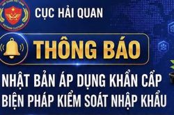 Hải quan cảnh báo quy định mới của Nhật Bản đối với hàng nông sản xuất khẩu