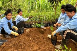 Chương trình mục tiêu quốc gia: Khởi động giai đoạn mới