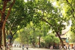 Dự báo thời tiết ngày 8/8: Bắc Bộ ngày nắng, đêm mưa dông