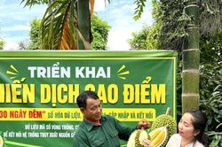 '30 ngày đêm' số hóa dữ liệu, bảo vệ thương hiệu sầu riêng Đắk Lắk