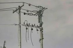 Điều tra cái chết bất thường của người đàn ông bên trạm điện