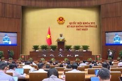 Hoàn thiện 9 luật quân sự, quốc phòng để đáp ứng yêu cầu thực tiễn