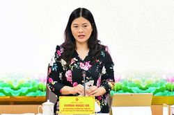 Phó Chủ tịch Uỷ ban nhân dân tỉnh Tuyên Quang Vương Ngọc Hà thôi phụ trách lĩnh vực giáo dục