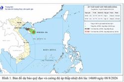 Tin áp thấp nhiệt đới trên Biển Đông