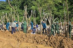 Đồn Biên phòng Thị Hoa tham gia trồng 45 cây xanh tại Trường Phổ thông Dân tộc nội trú xã Hạ Lang