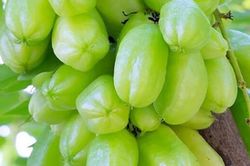 Loại quả xưa ch&iacute;n rụng đầy nay th&agrave;nh đặc sản gi&aacute; 150.000 đ/kg, trồng một lần thu hoạch nhiều năm, tốt cho sức khỏe