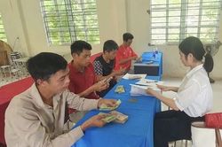 Cao Bằng: Quỹ Hỗ trợ nông dân tỉnh giải ngân 750 triệu đồng cho Dự án 'Trồng và chăm sóc cây keo'