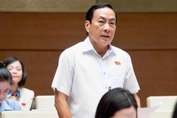 Đại biểu Quốc hội đề xuất tăng tuổi nghỉ hưu của sĩ quan Quân đội
