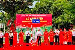 Phường Hoàng Mai gắn biển tên phố Cổ Mai: Nối liền chiều sâu lịch sử và nhịp sống hiện đại