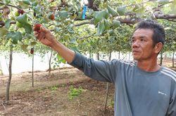 Nhiều người d&acirc;n phản &aacute;nh nguồn nước hồ S&ocirc;ng Bi&ecirc;u c&oacute; m&agrave;u x&aacute;m đục, ảnh hưởng c&acirc;y trồng, vật nu&ocirc;i